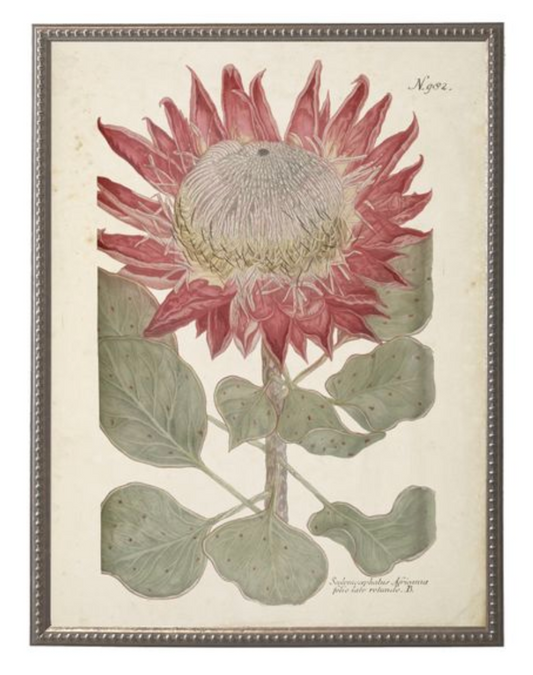 Red Flower in Silver-Beaded Frame