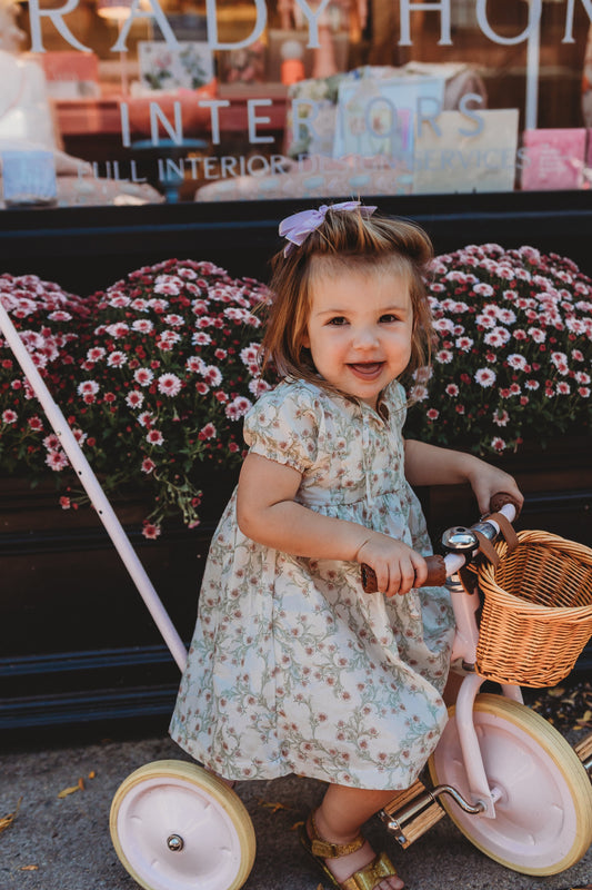 Yara Dress- Lavender Fields
