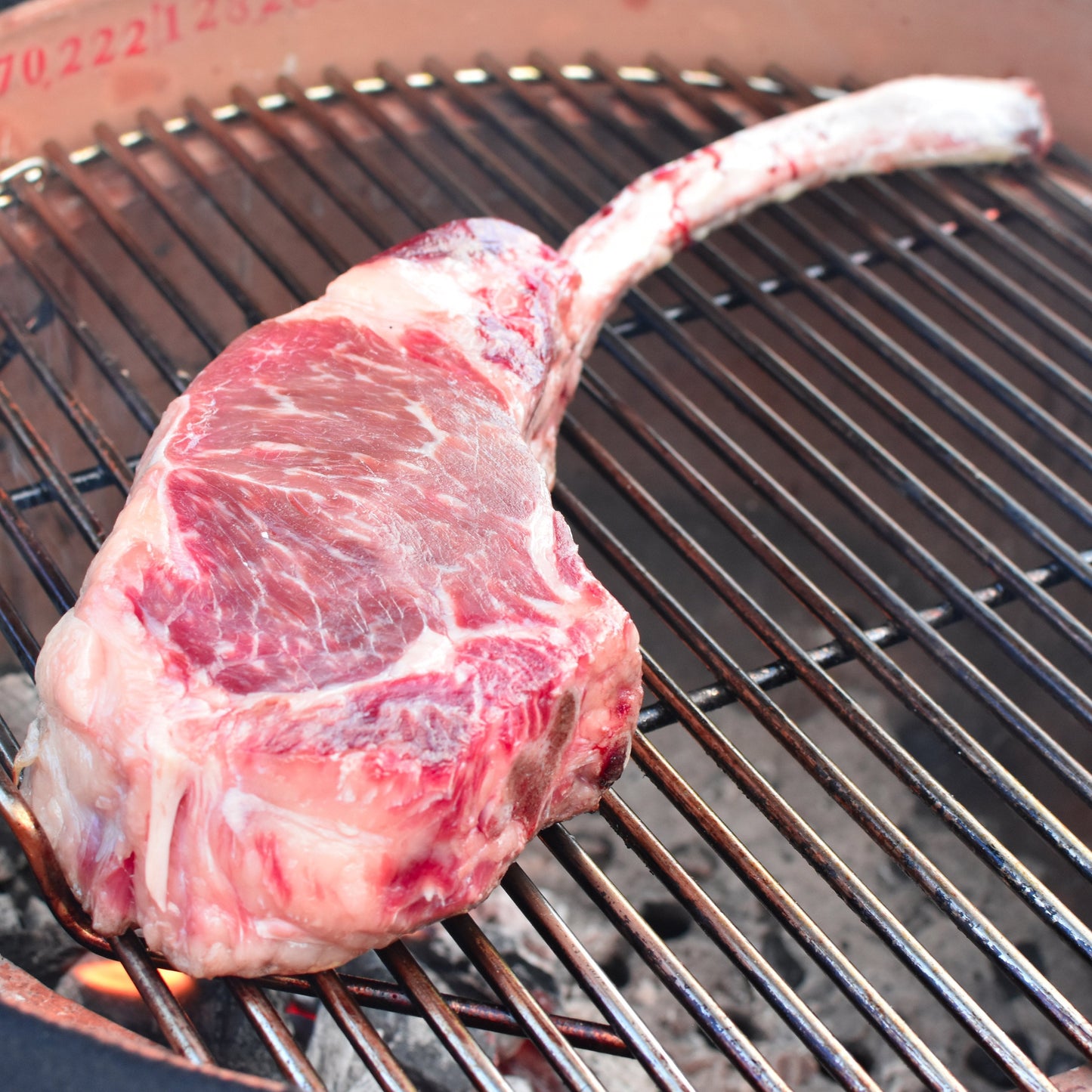 The Patio Daddy-O USDA Prime Tomahawk Chop