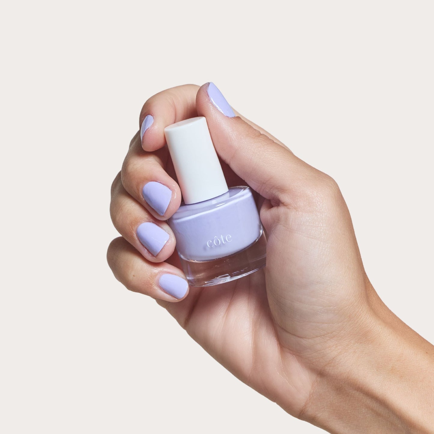 Color Crush Set