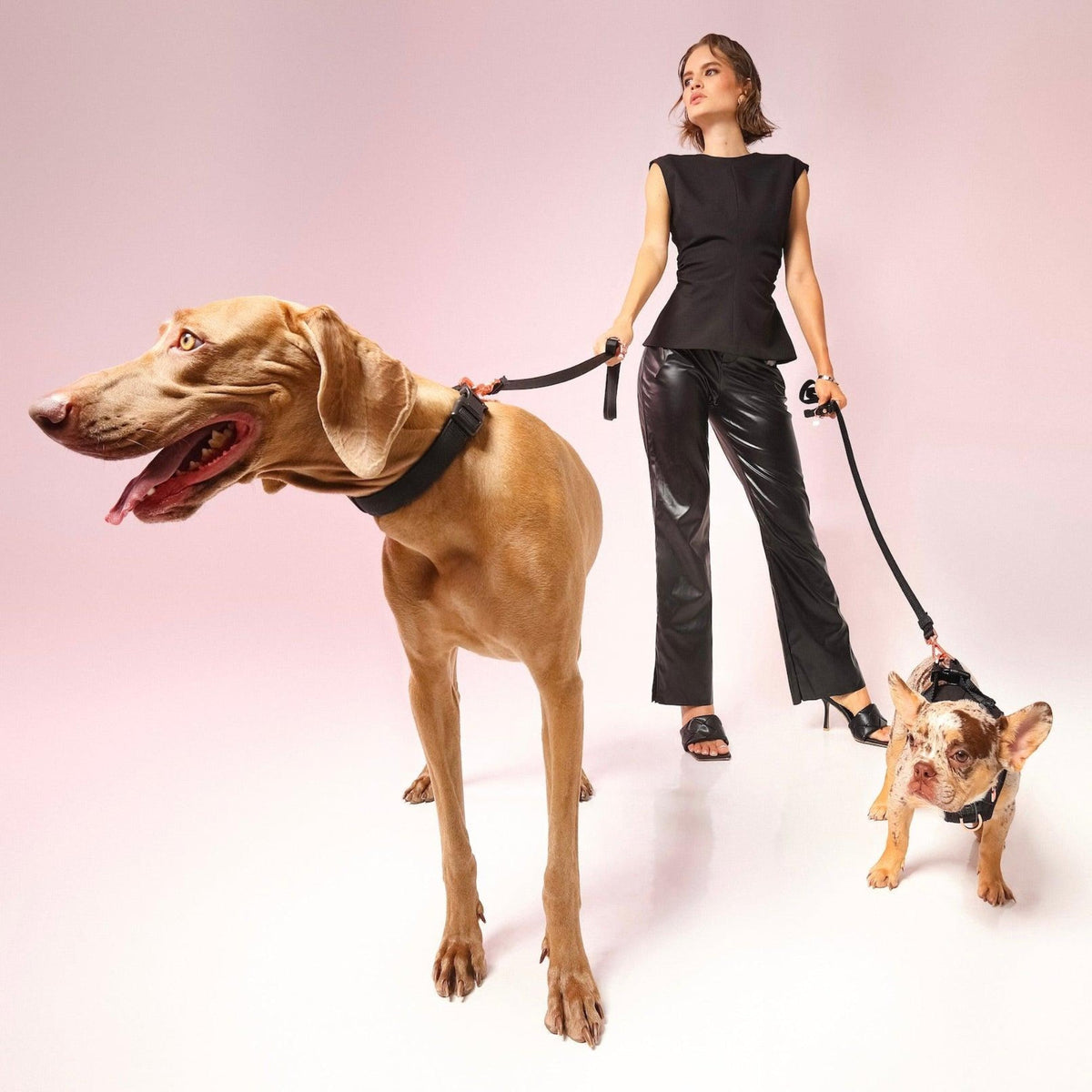 City Dog Leash - Solid Black for Small Rockstar