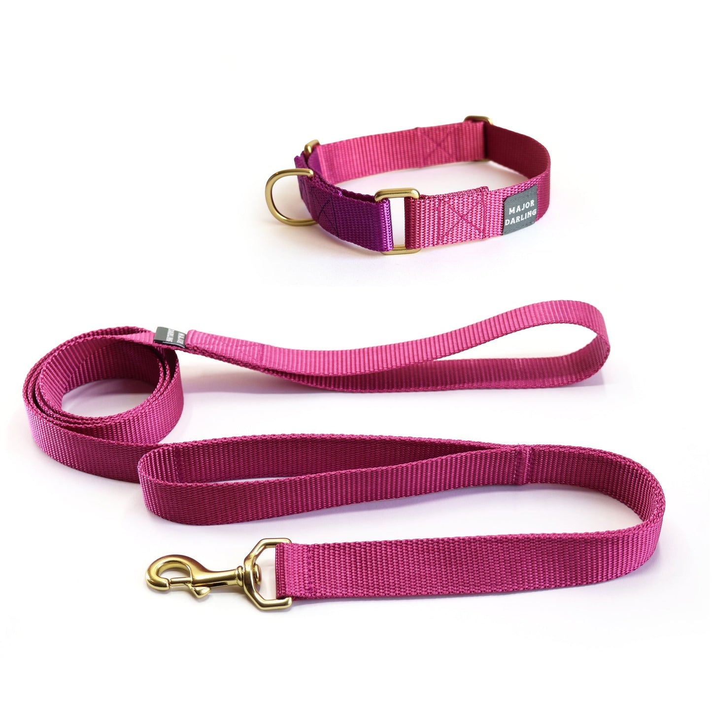 Martingale Collar and Leash Set