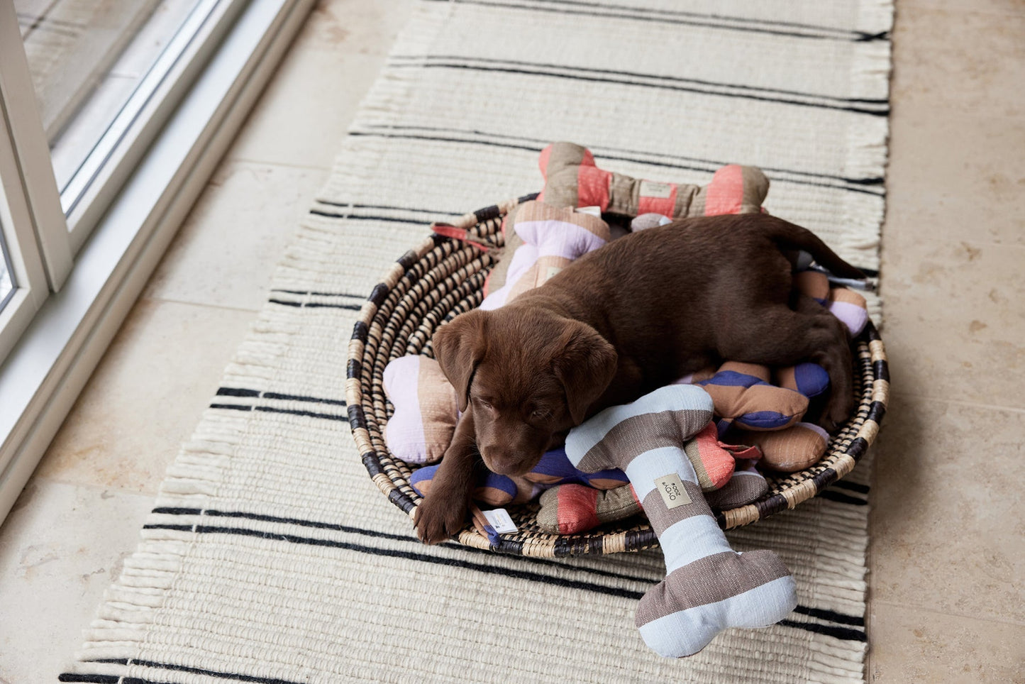 Ashi Dog Toy Small - Ice Blue/Choko