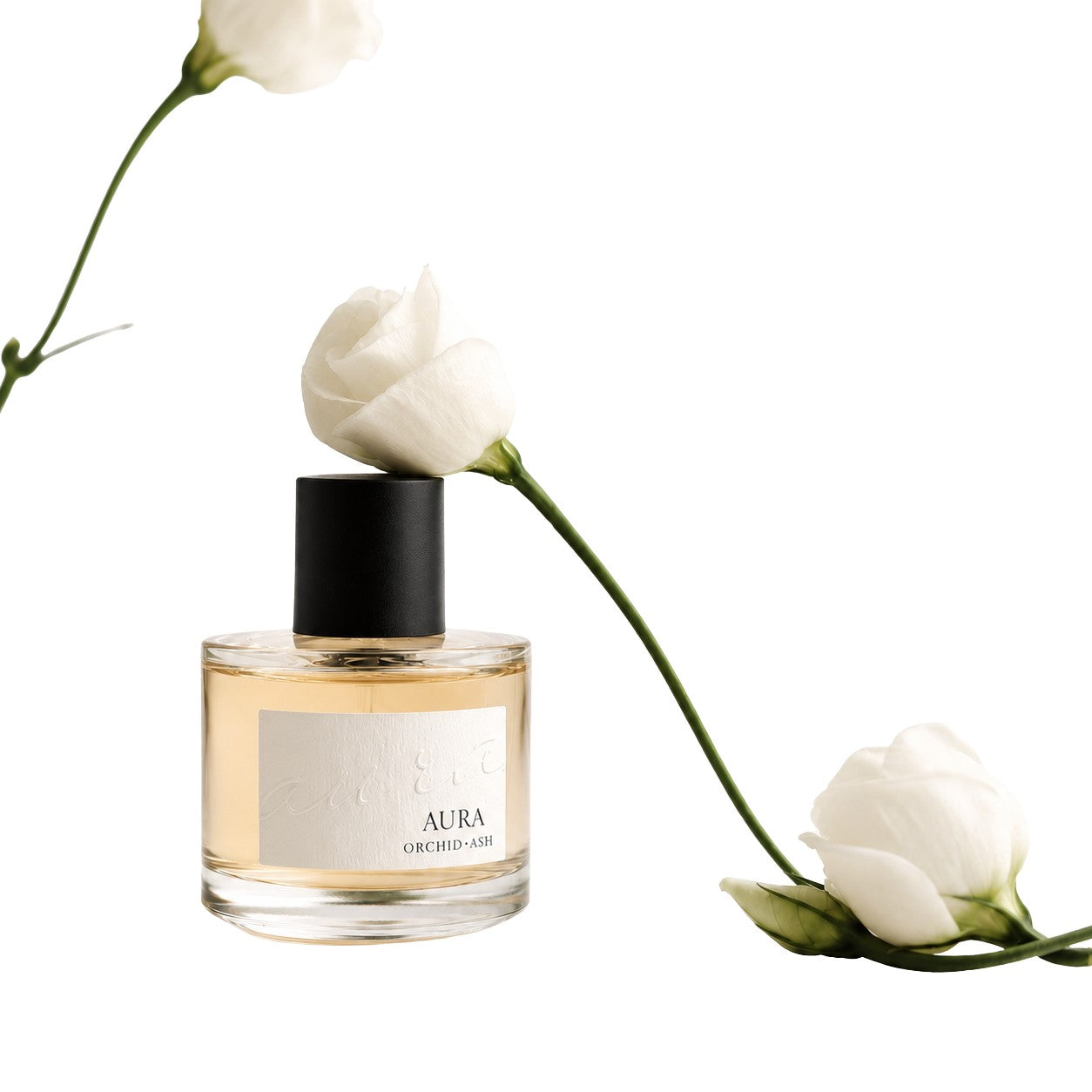 grapefruit + tonka bean | AURA Perfume