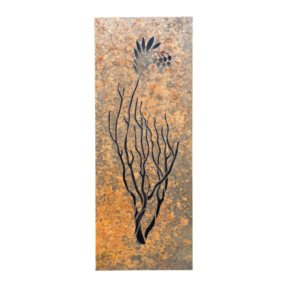 Manzanita