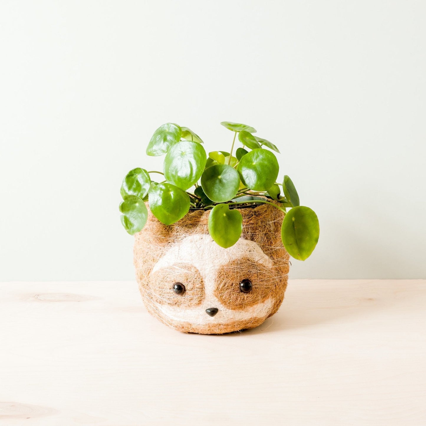 Large two-tone Sloth