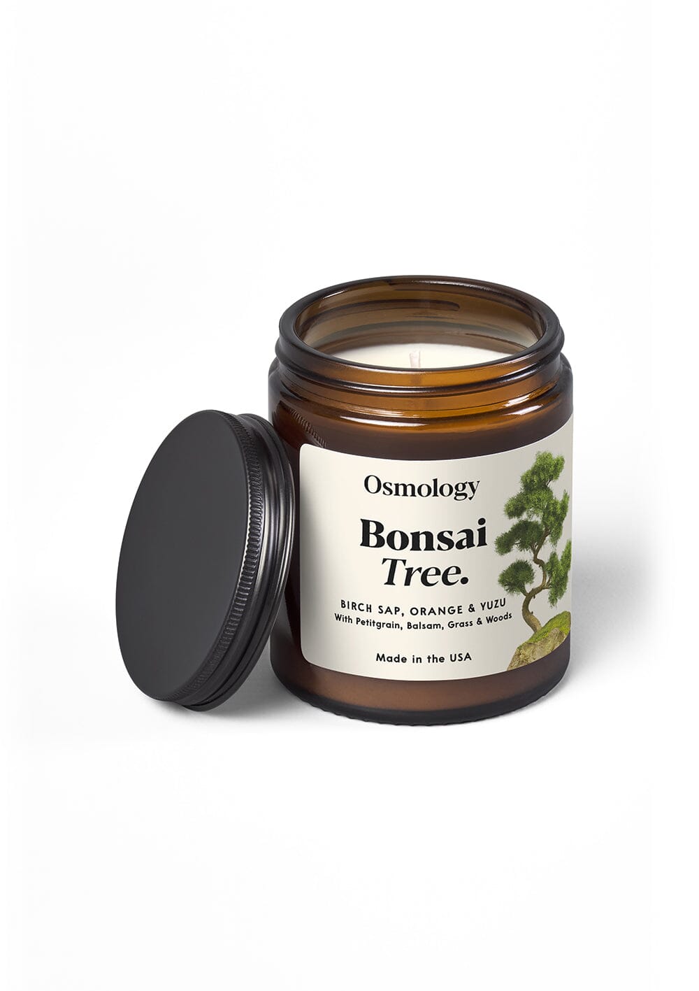 Bonsai Tree Scented Jar Candle - Birch Sap Orange and Yuzu
