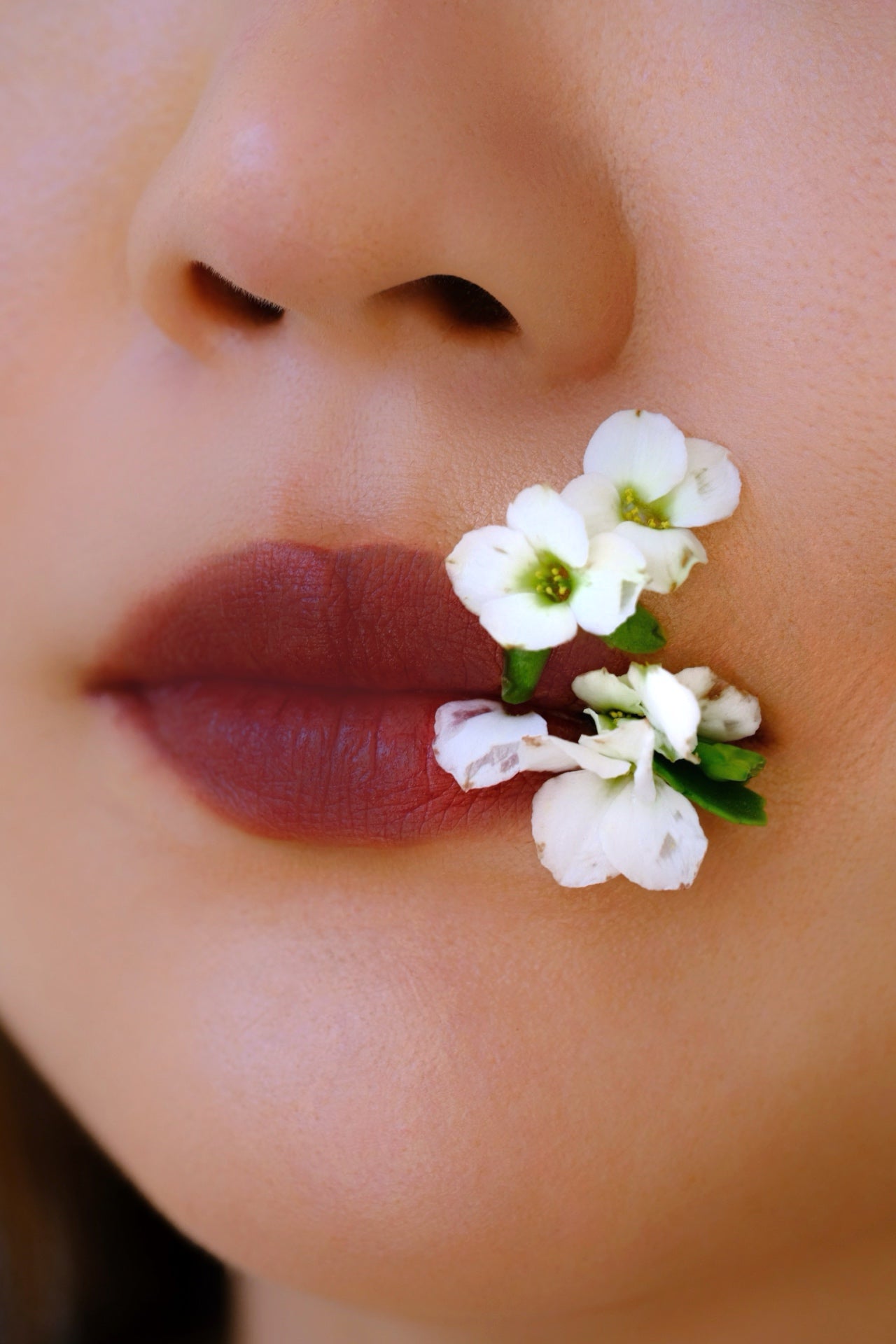 Vegan Cream Blush Palette for Cheeks & Lips