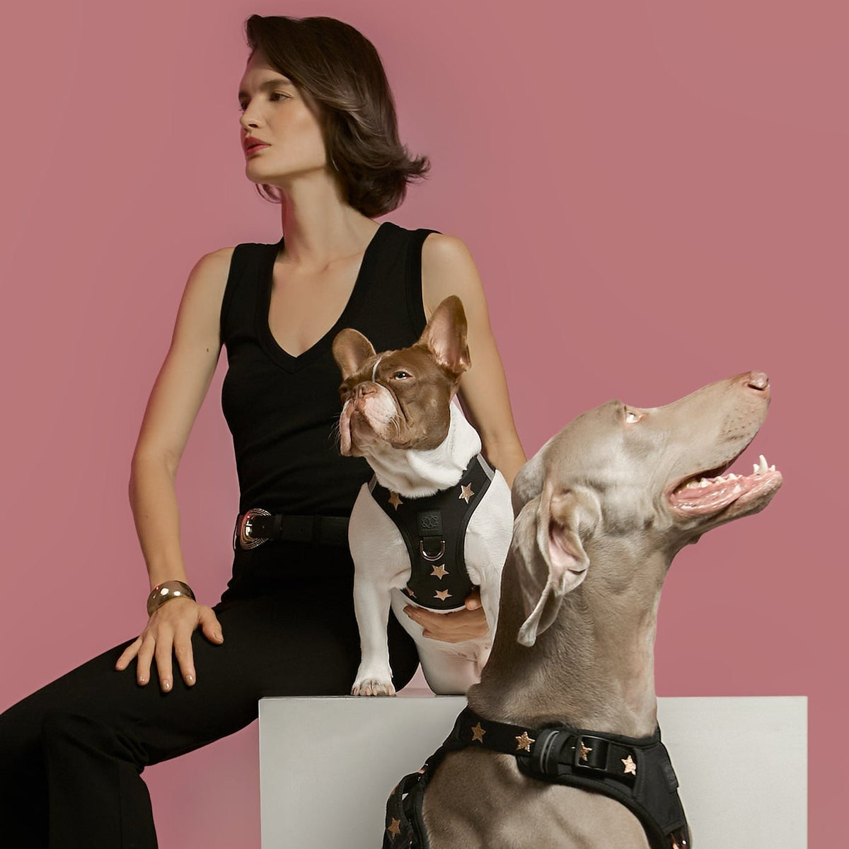 City Leash Set - Rockstar