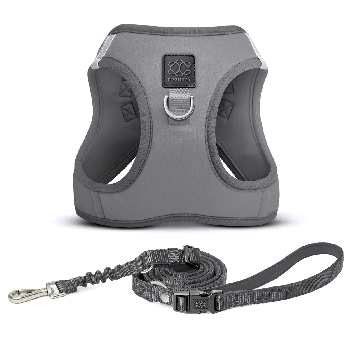 City Leash Set - Steel