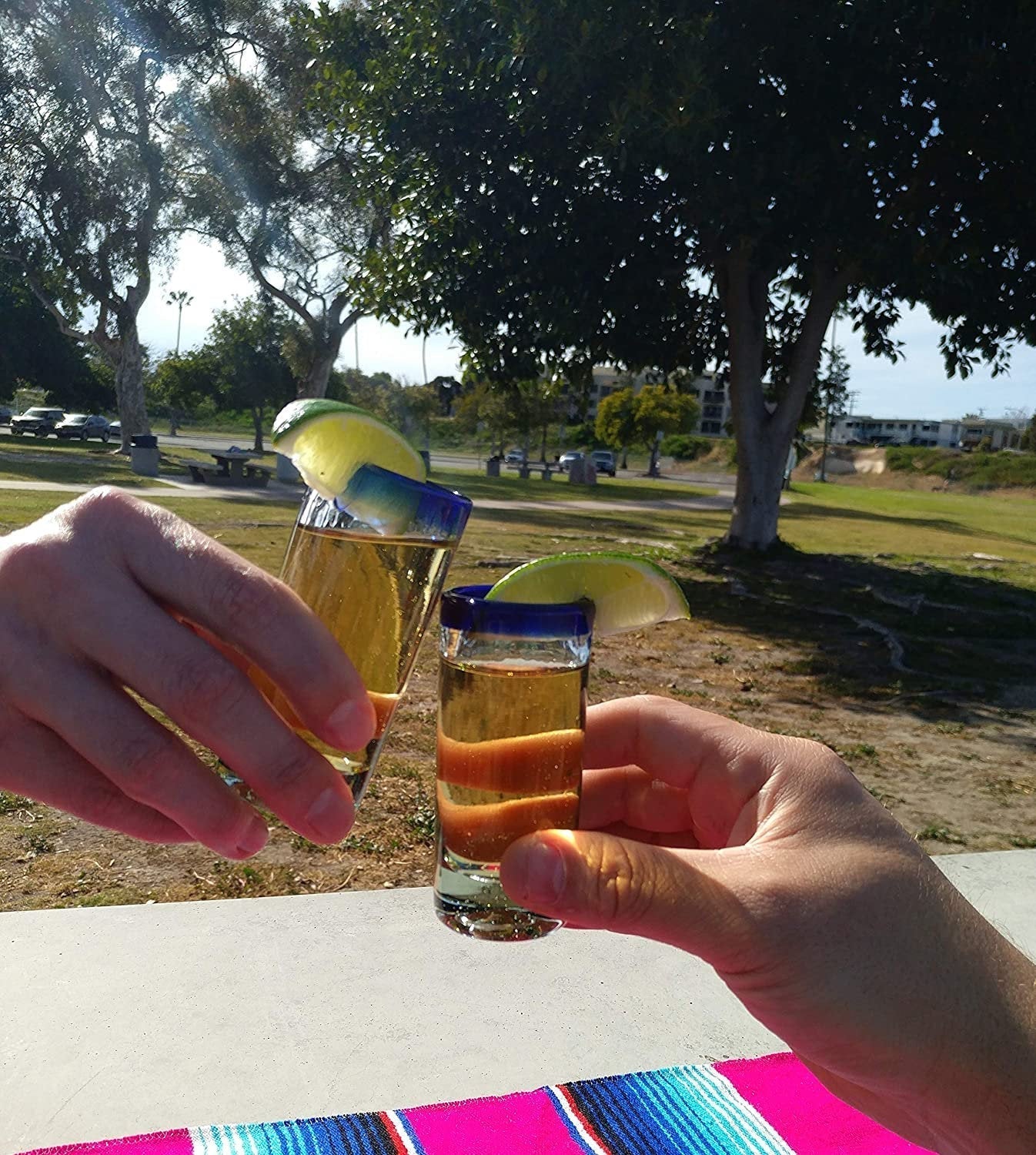Cobalt Blue Rim Tequila Shot Glasses - Set of 6