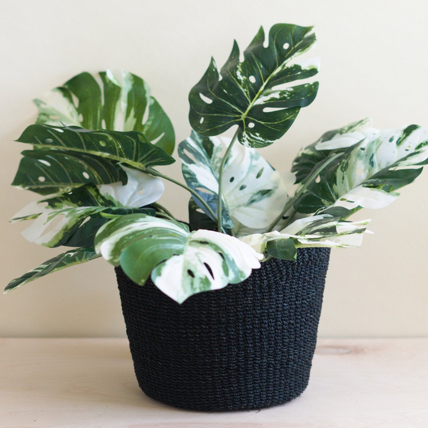 Black Scallop Basket