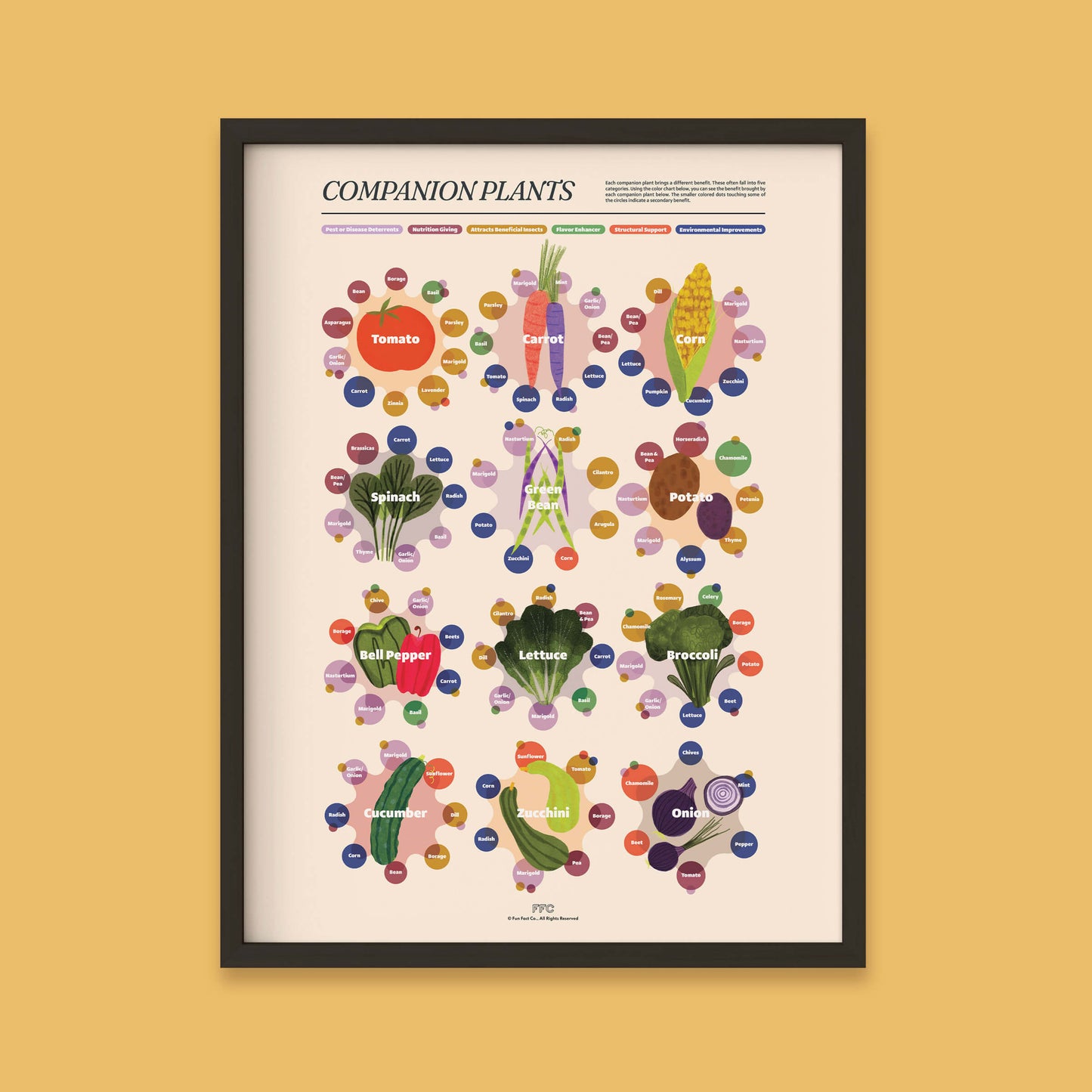Companion Plants Giclée Print