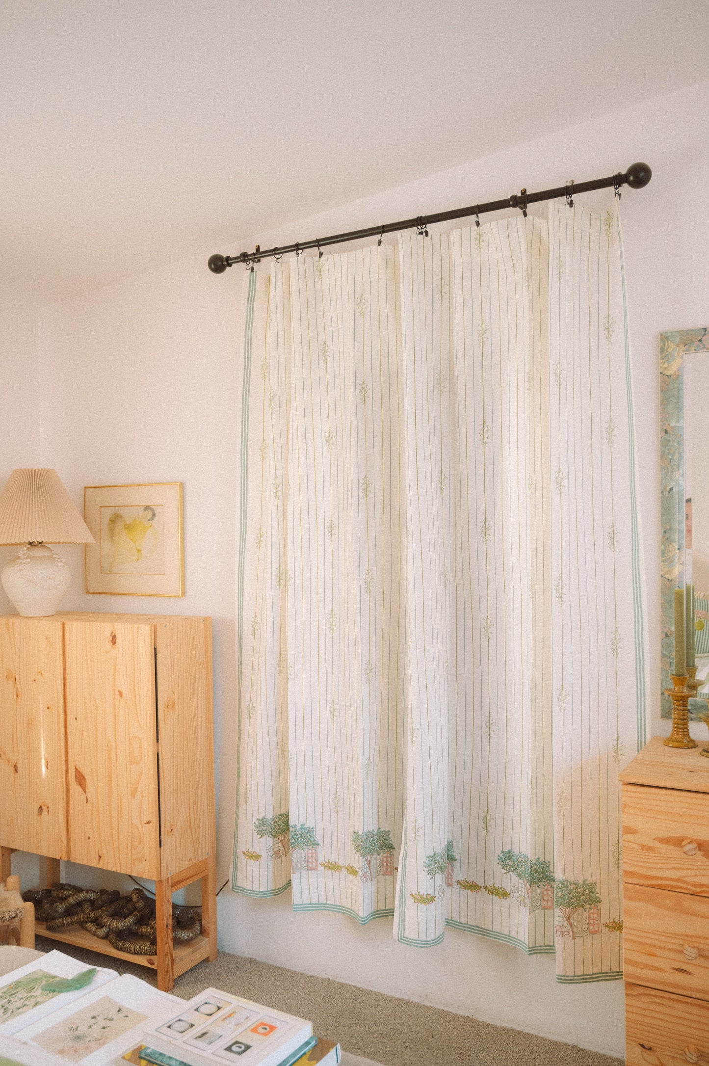 Street View Curtains