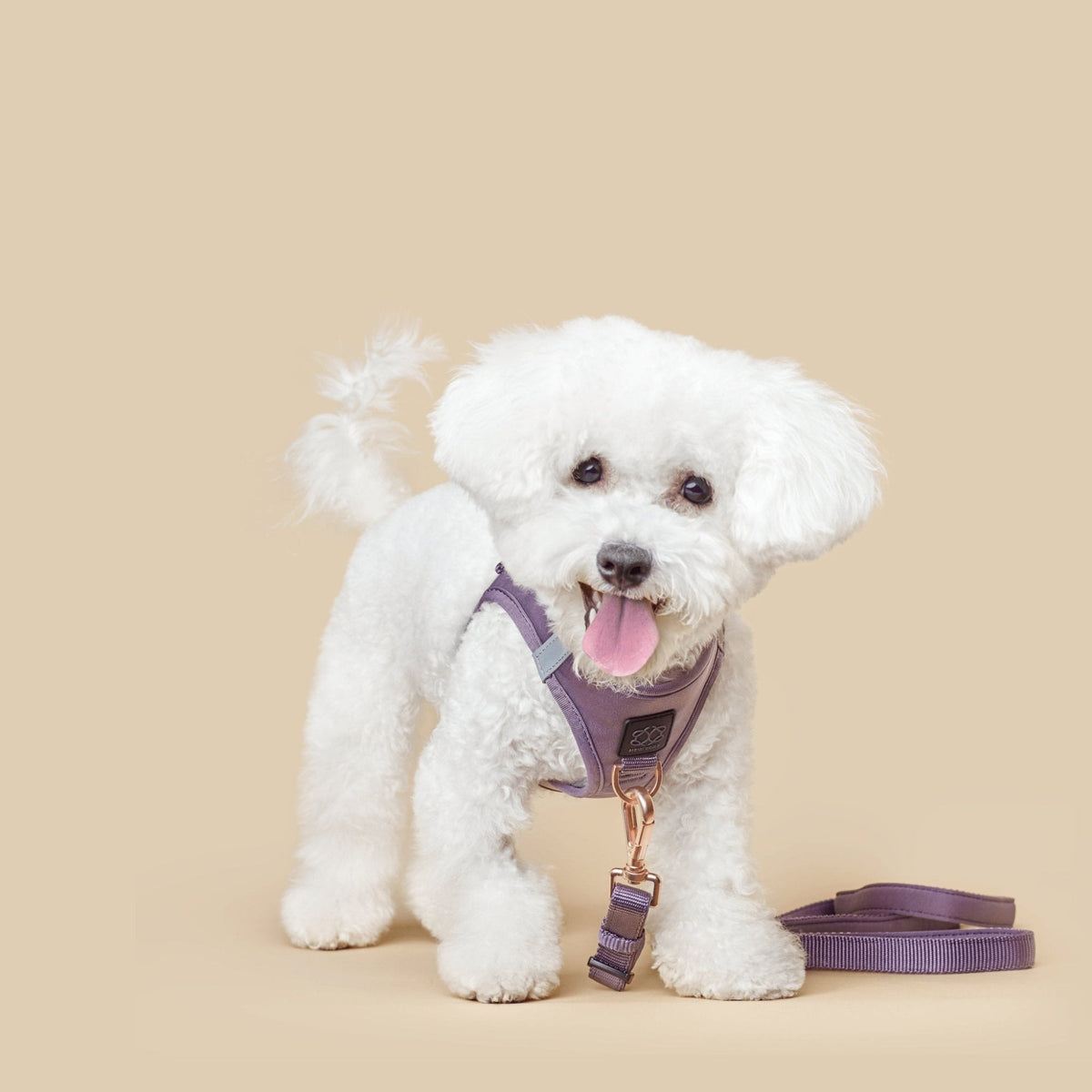SoHo Complete Dog Walking Set - Lilac Gray