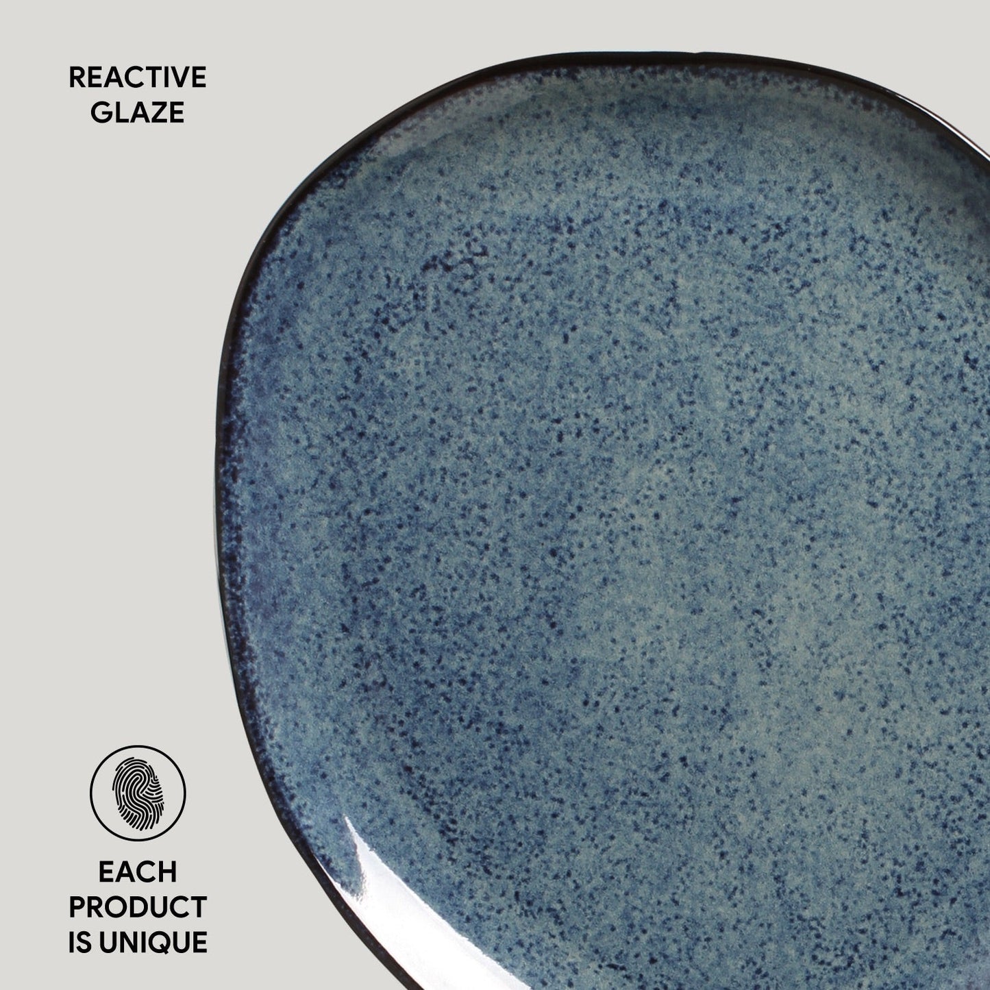 Oval Dinner Plate Set of 6