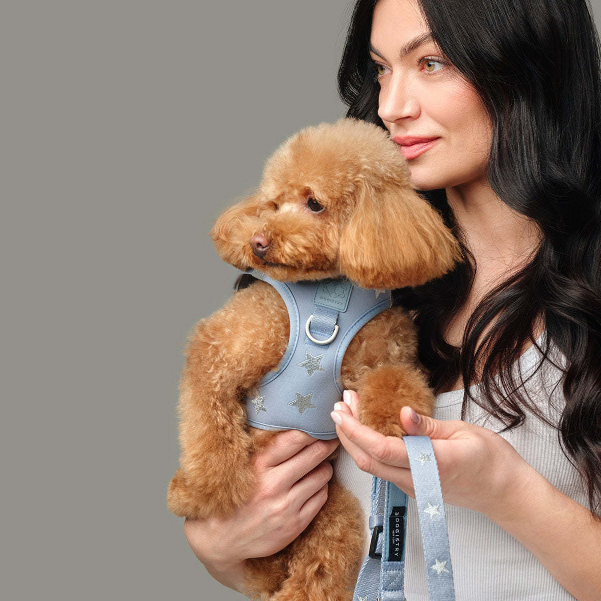City Leash Set - Rockstar Hudson