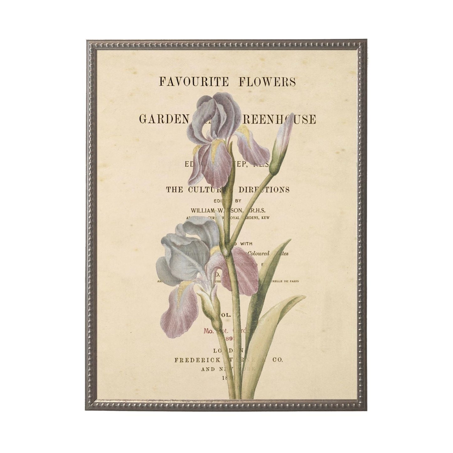 Purple Flower on Book Page in Silver-Beaded Frame