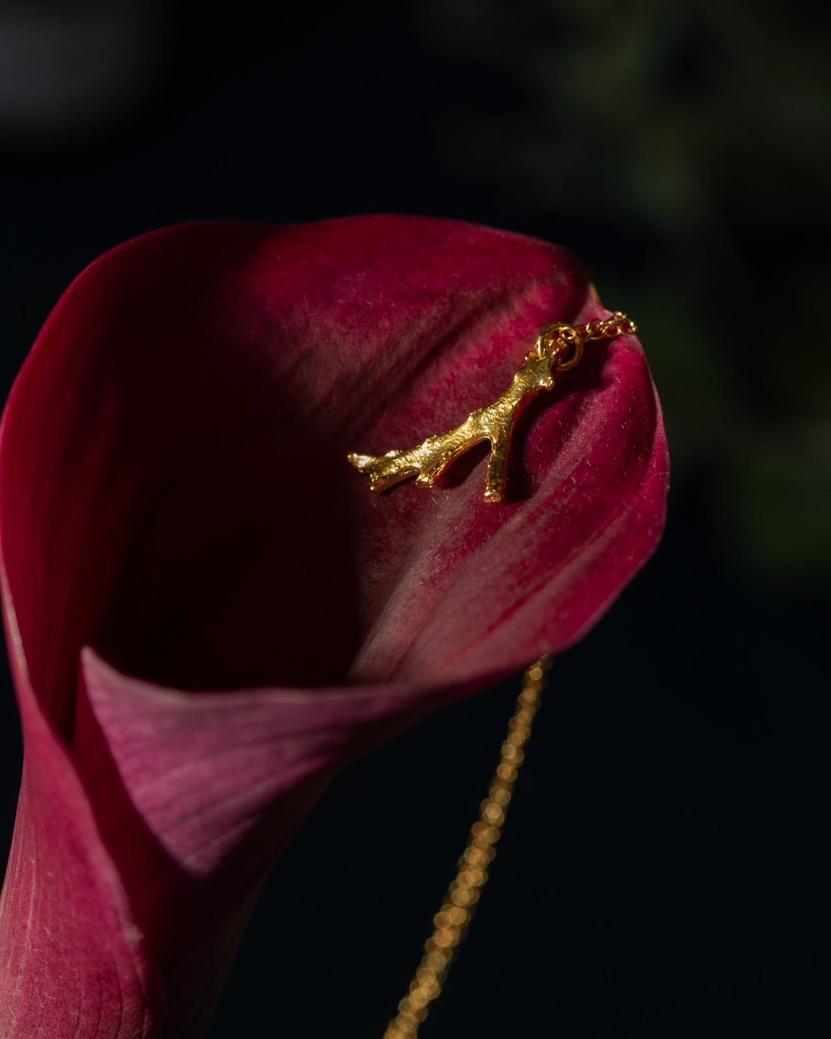 Fire of Red Coral Necklace