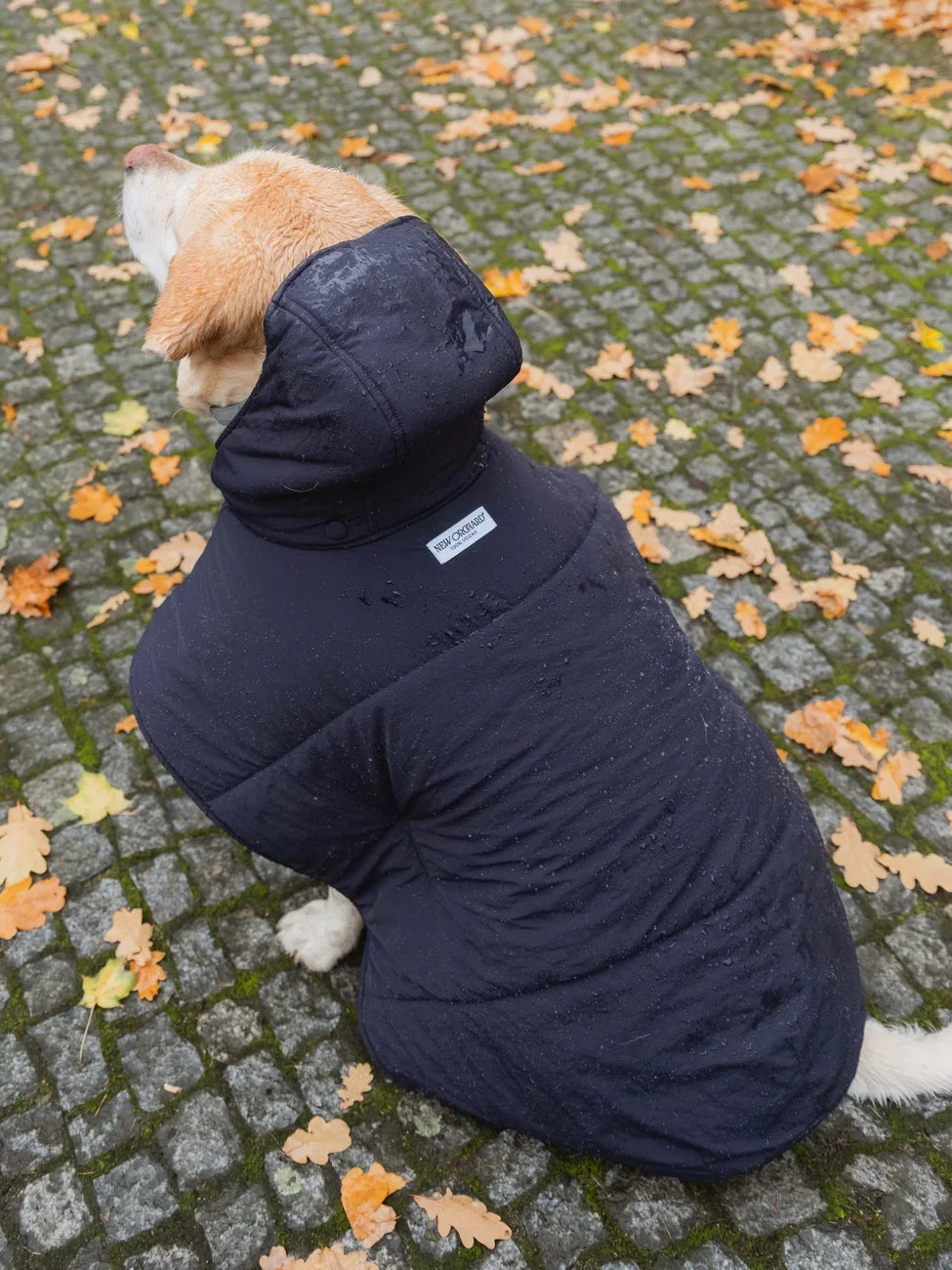 Navy blue vegan dog hoodie made from recycled materials with quilted design on small dog. - The New Orchard - Navy Blue / 2XS
