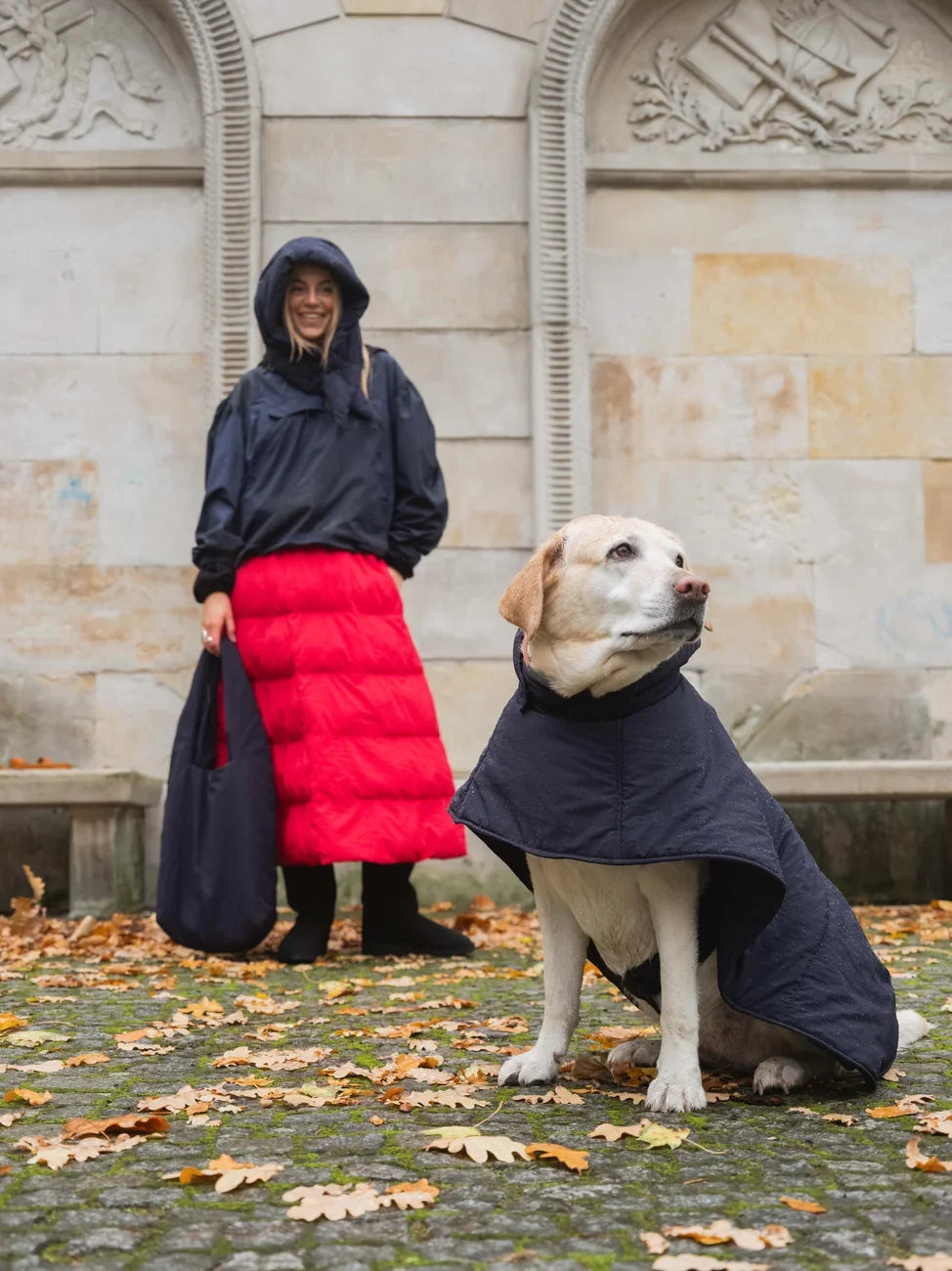 Navy blue vegan dog hoodie made from recycled materials, worn by large dog outdoors. - The New Orchard - Navy Blue / 2XS