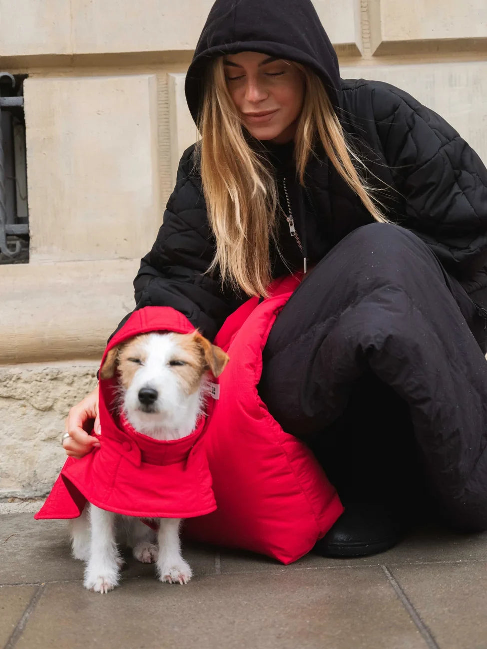 Small dog wearing vivid red vegan hoodie made from recycled materials, sitting next to woman in black jacket. - The New Orchard - Vivid Red / 2XS