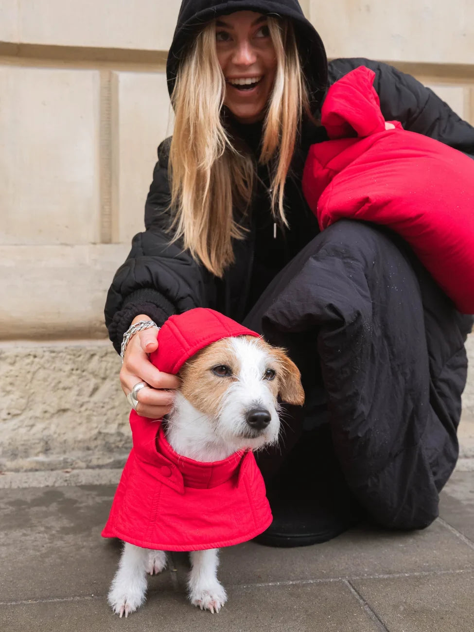 Small dog wearing vivid red vegan hoodie made from recycled materials with hood up. - The New Orchard - Vivid Red / 2XS