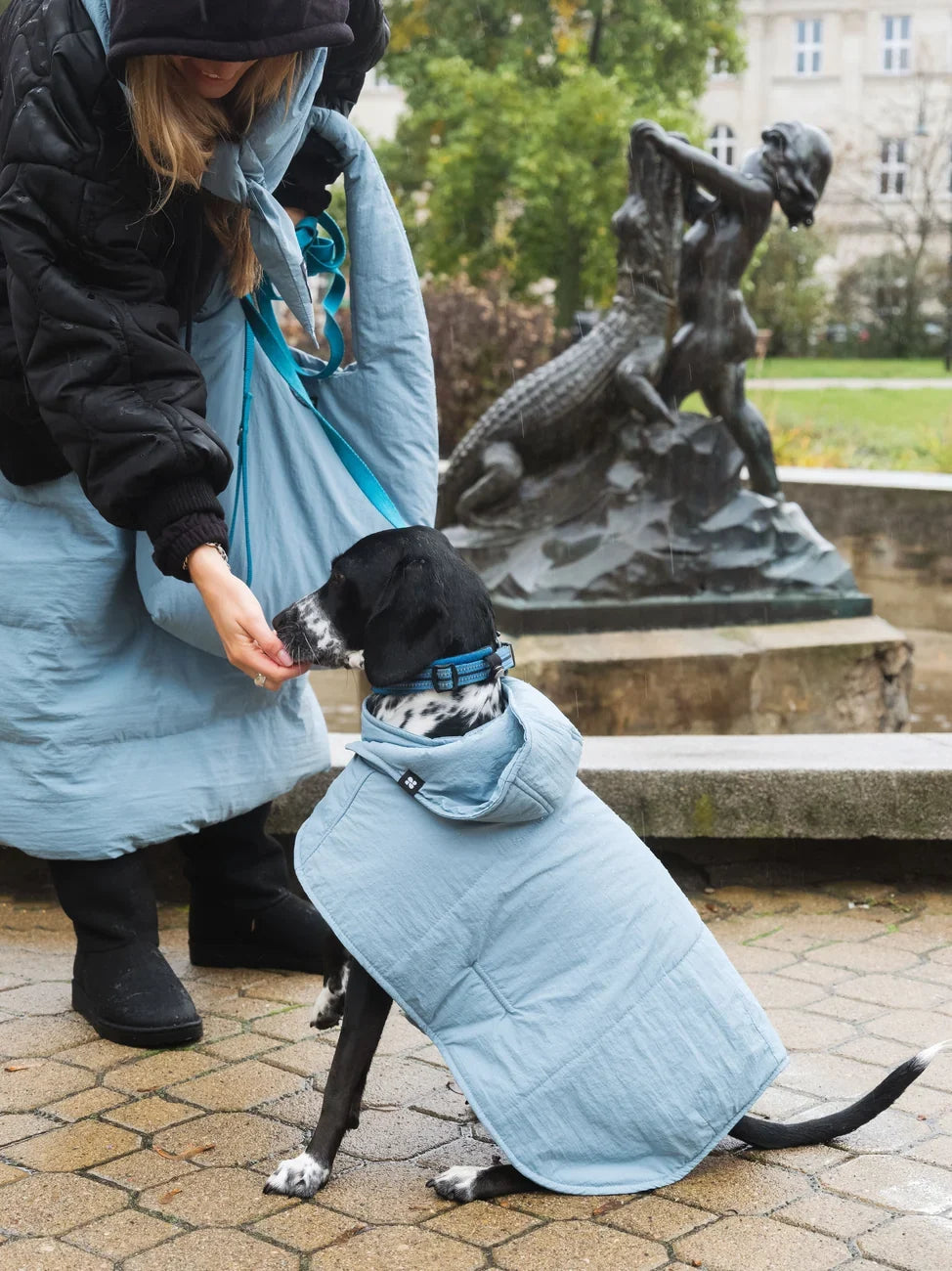 Sky blue vegan dog hoodie made from recycled materials with a hood and quilted texture. - The New Orchard - Sky Blue / 2XS