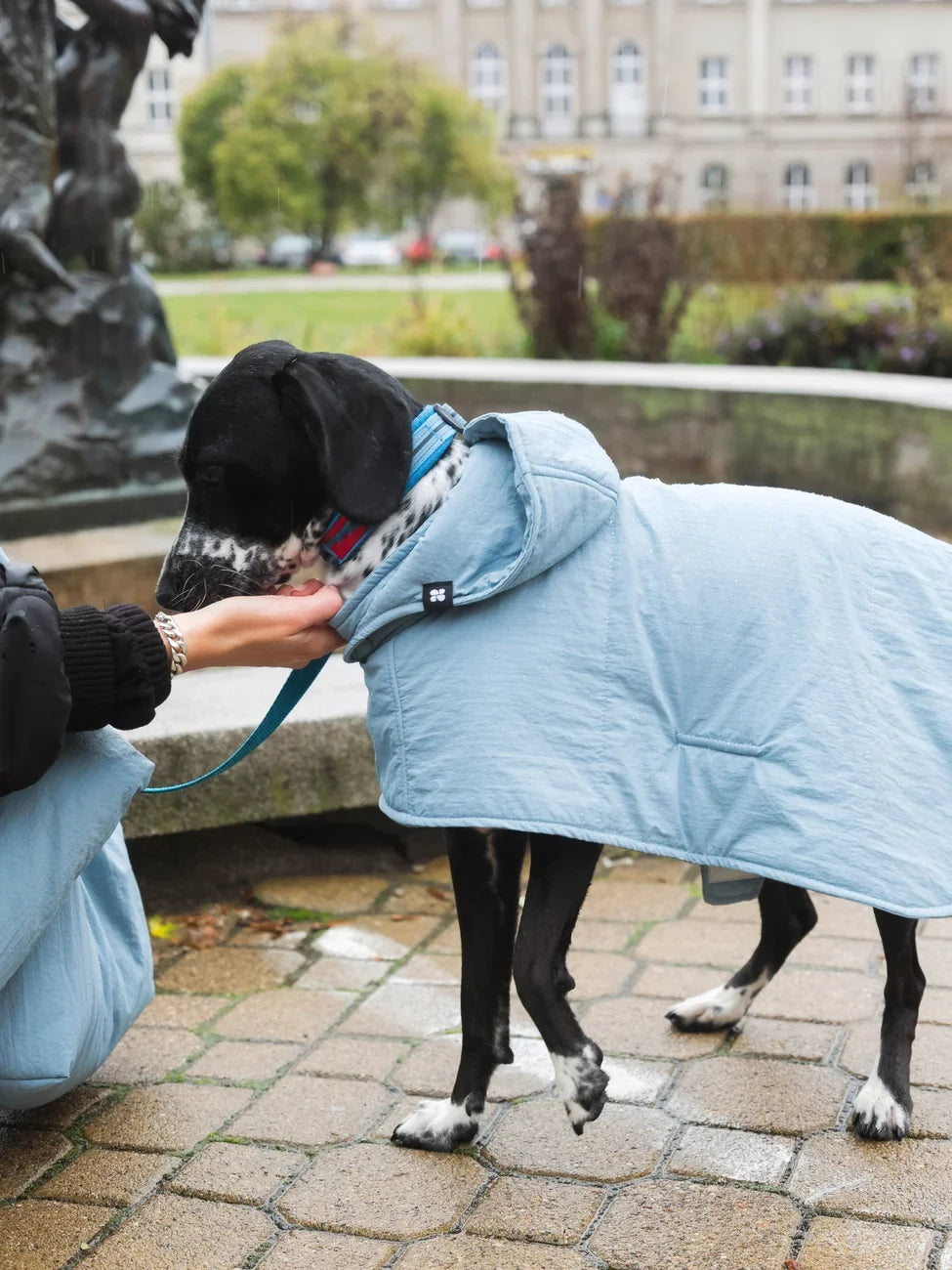 Sky blue dog hoodie made from vegan recycled materials with adjustable hood and side snap buttons. - The New Orchard - Sky Blue / 2XS