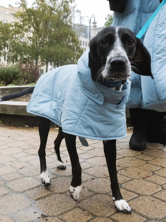 Sky blue vegan dog hoodie made from recycled materials with a quilted design and hood. - The New Orchard - Sky Blue / 2XS