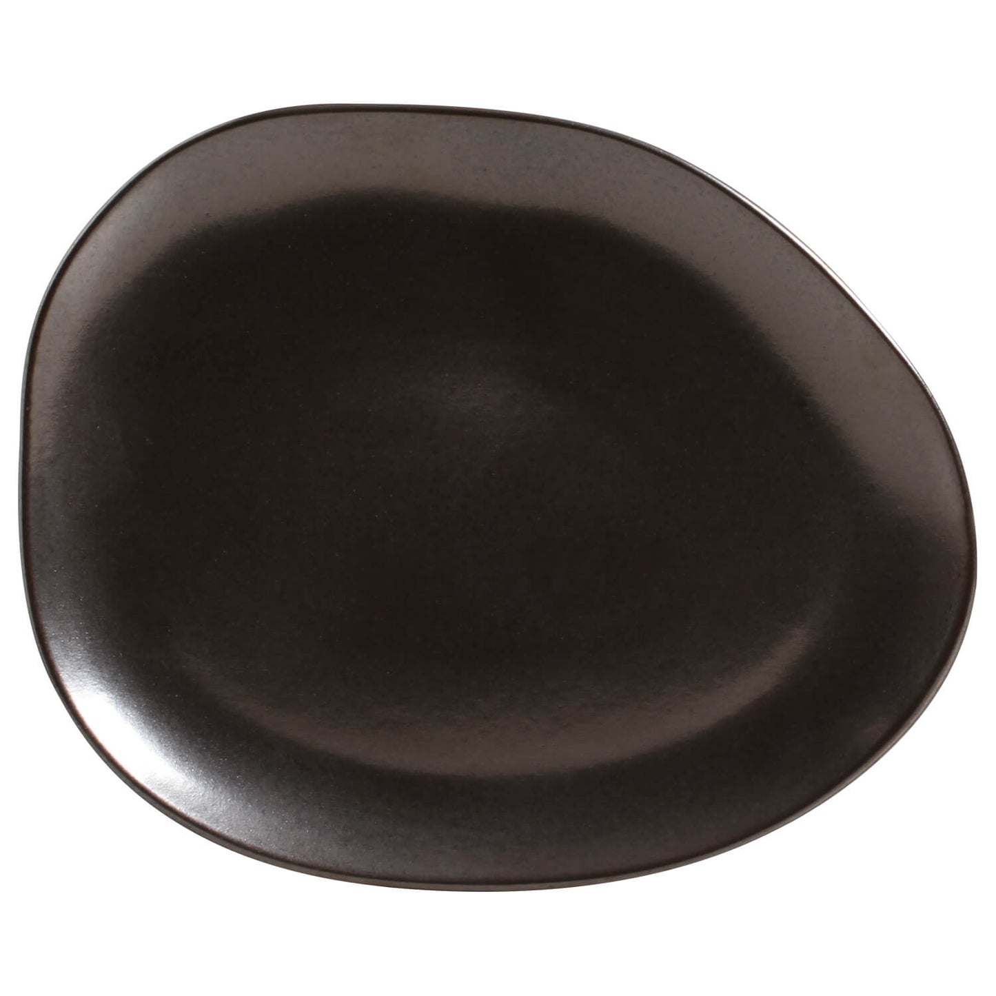 Oval Dinner Plate Set of 6