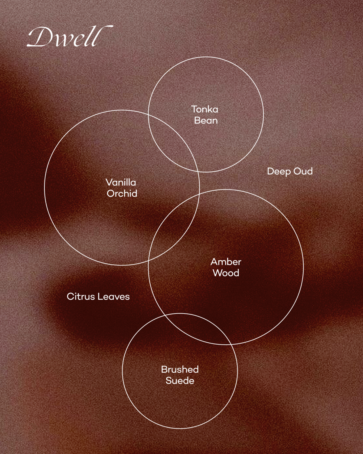 Dwell — Vanilla & Amber Wood