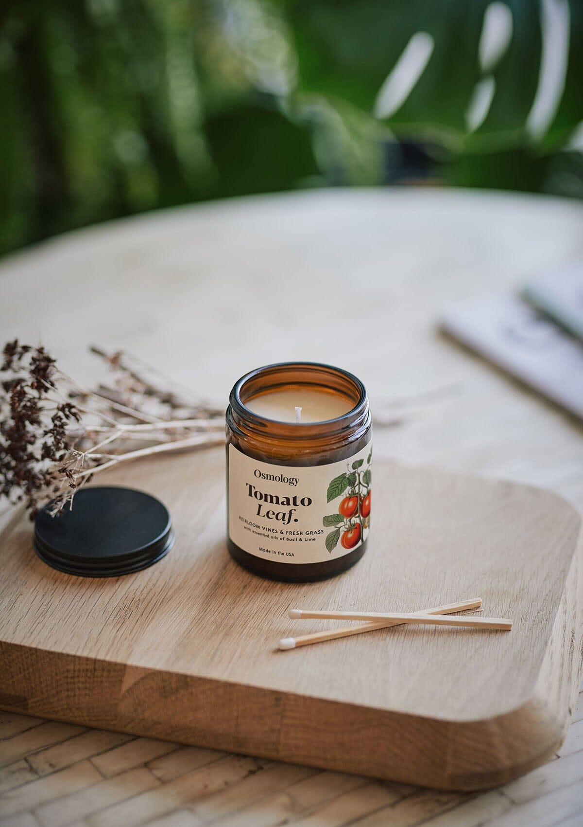 Tomato Leaf Scented Jar Candle - Tomato leaf, Fresh Grass and Lime