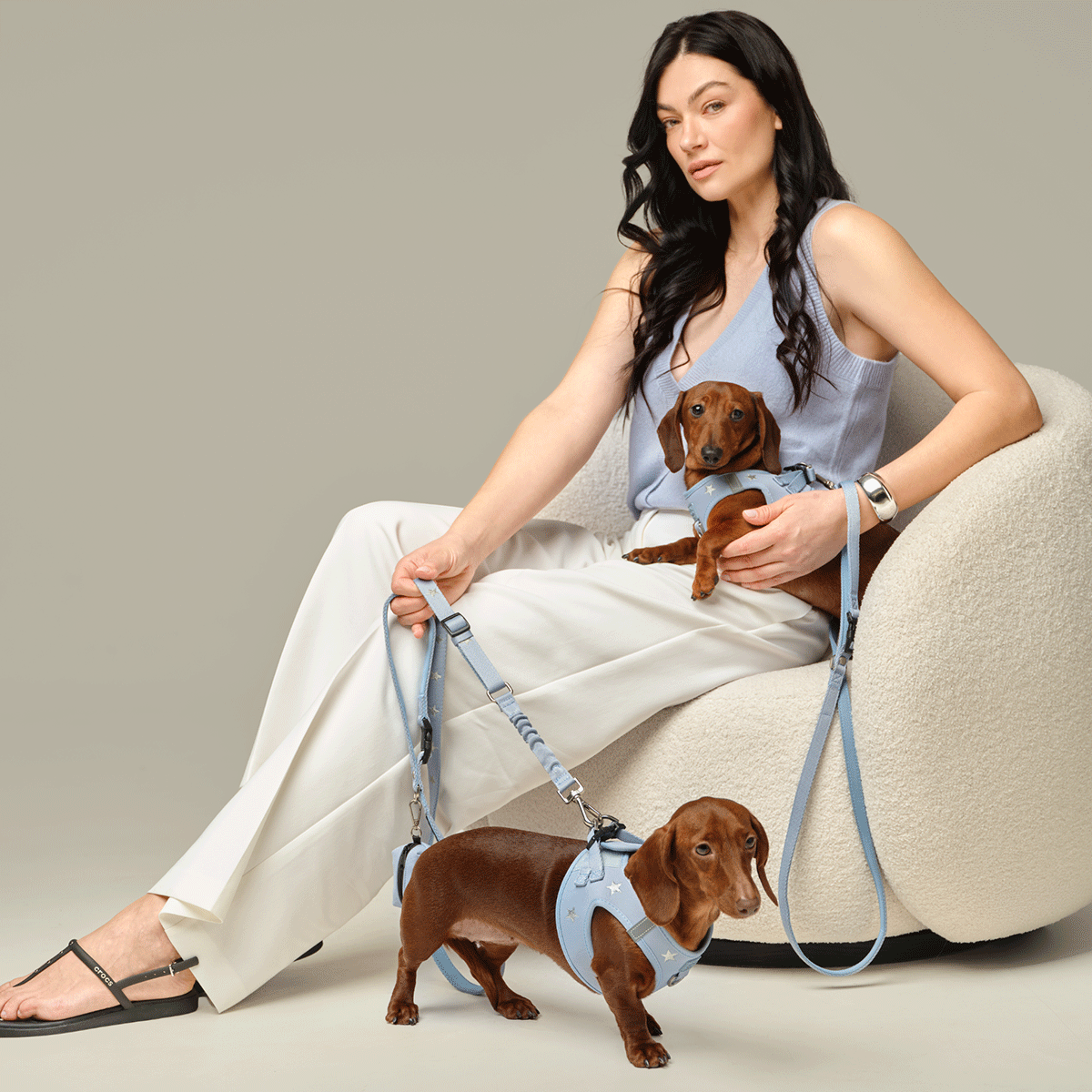 3-in-1 City Dog Leash - Rockstar Hudson