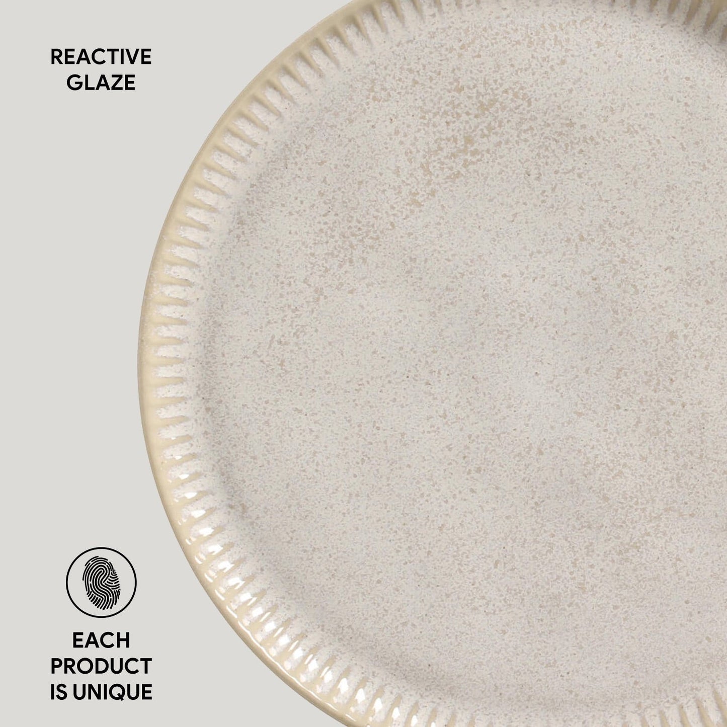 Dinner Plate Set of 6