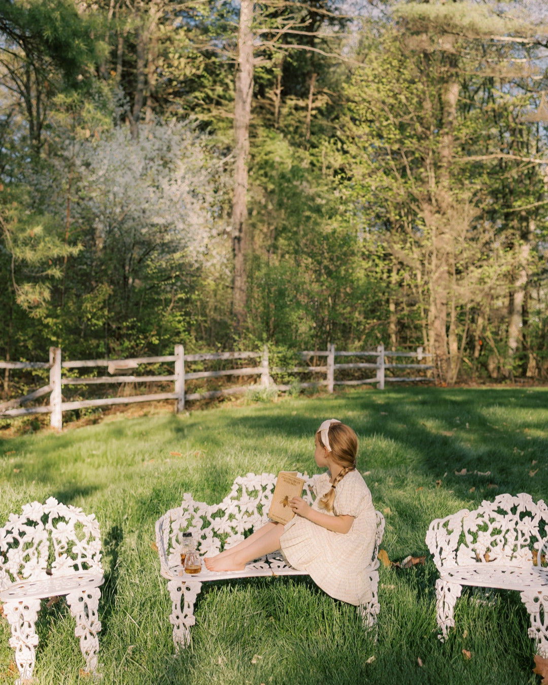 Weekend Dress  Blush Vine Stripe