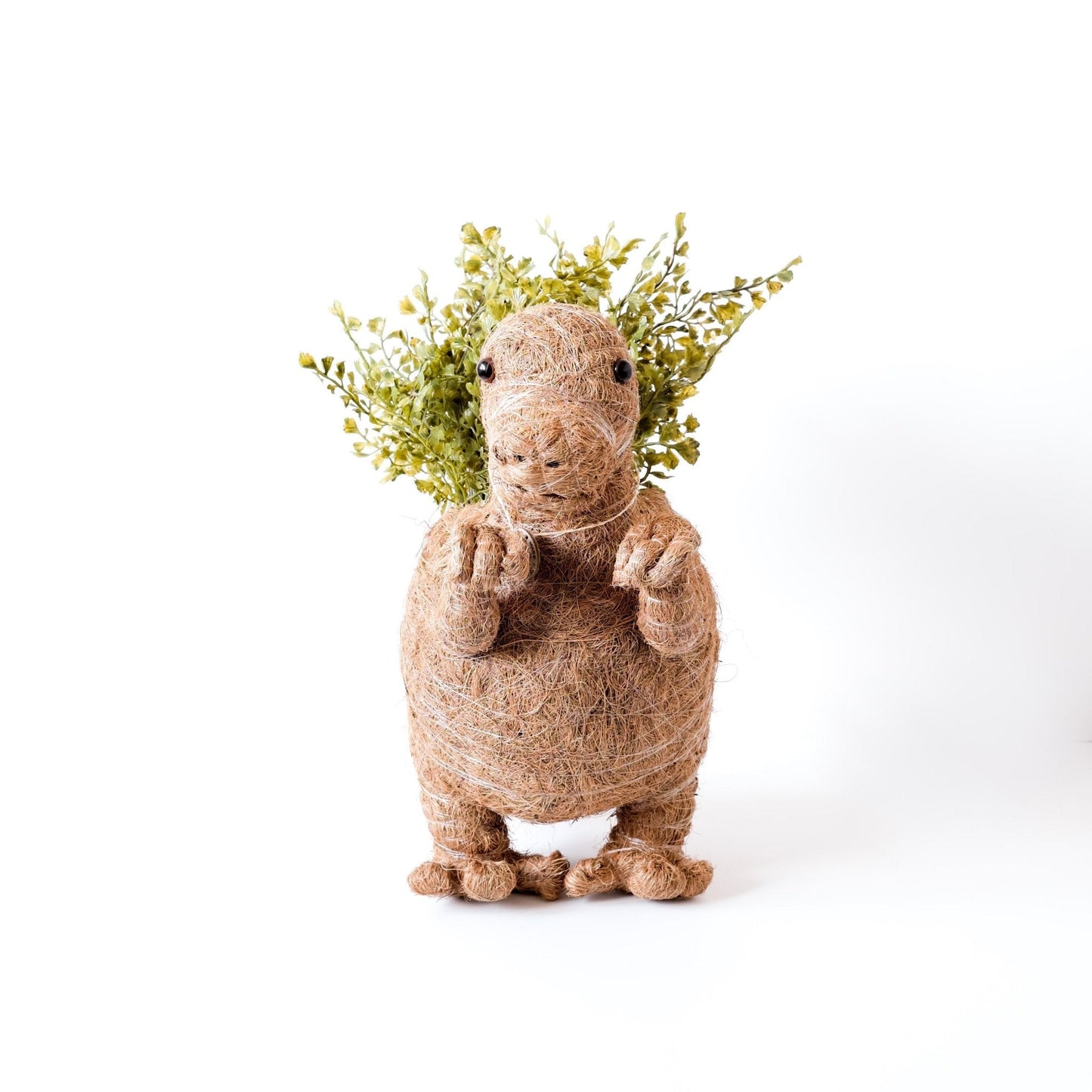 T-Rex Planter