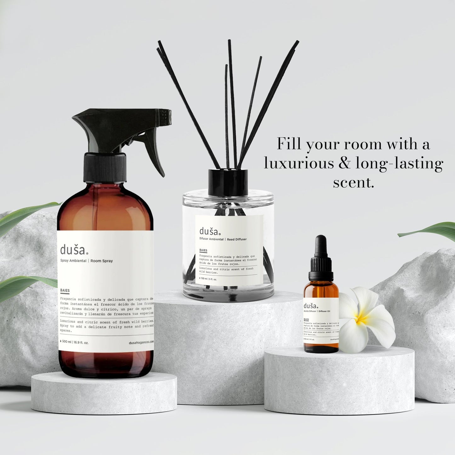 CEDAR BERGAMOTE - 5 FL OZ REED DIFFUSER