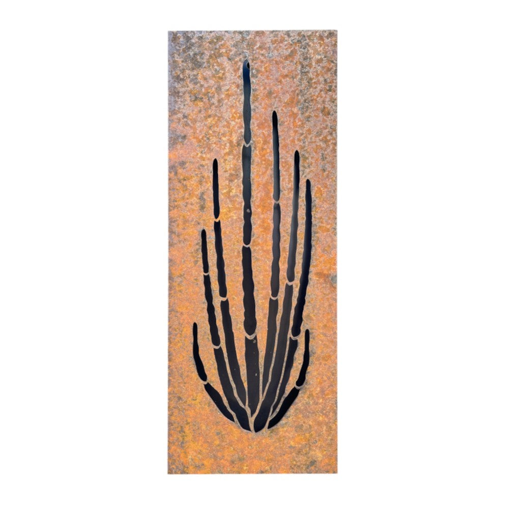 Ocotillo