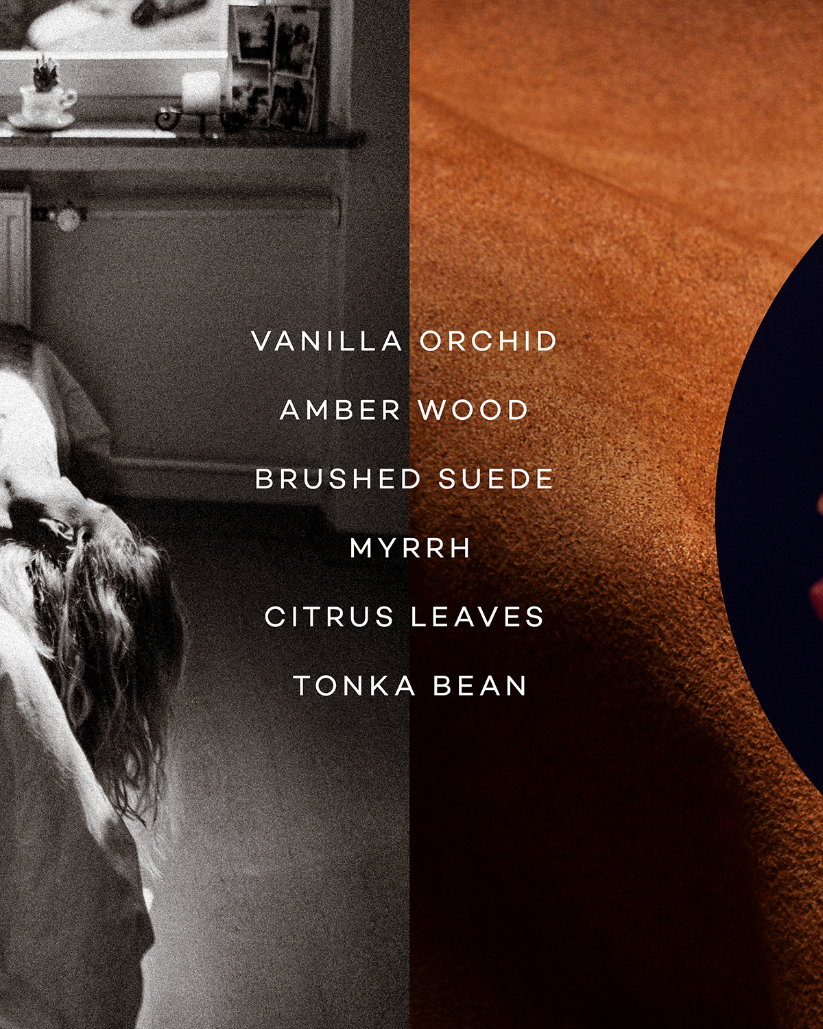 Dwell — Vanilla & Amber Wood