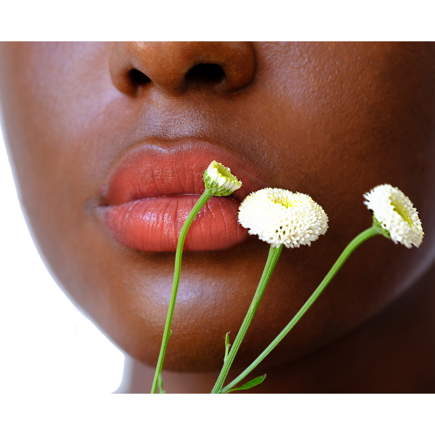Vegan Multistick Makeup for Cheeks & Lips