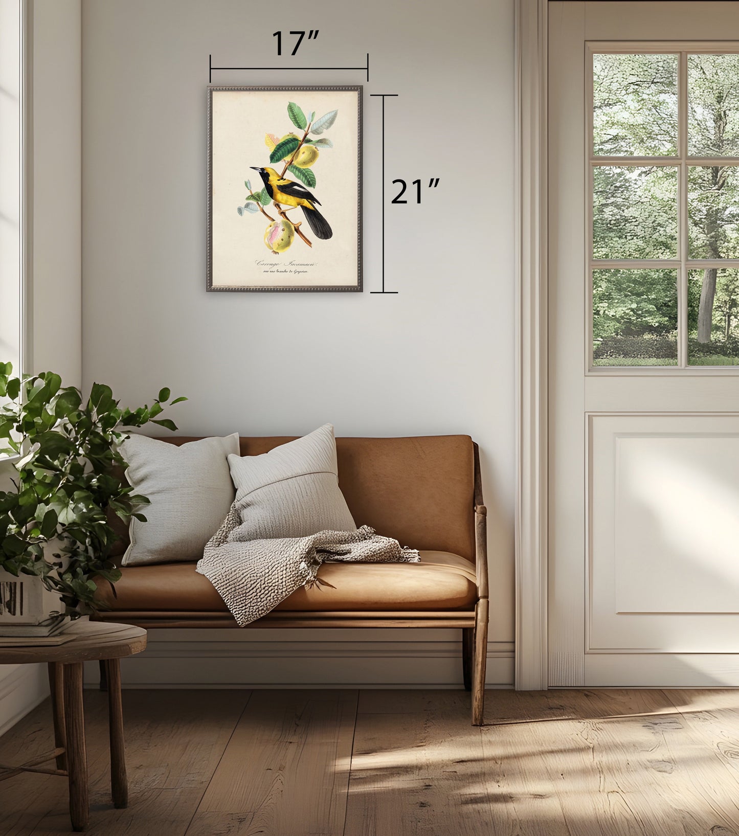 Jacamar and Flower Print in Beaded Pewter Frame