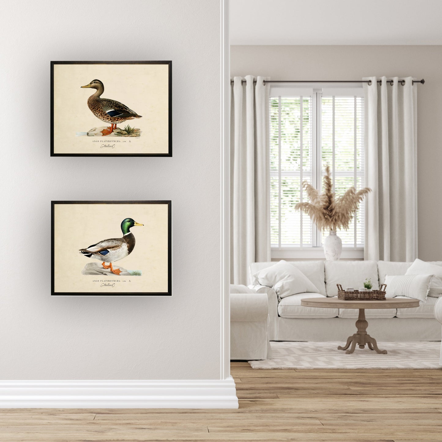 Mallard Print in Copper and Black Frame