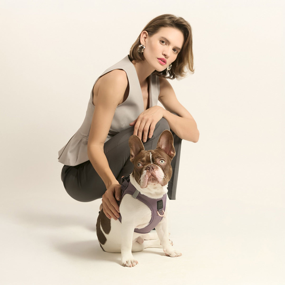 SoHo Complete Dog Walking Set - Lilac Gray