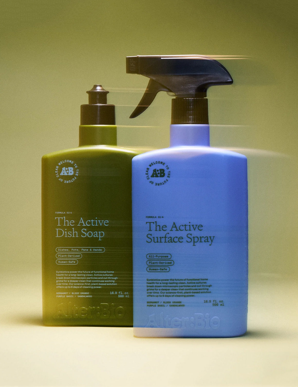 The Active Set