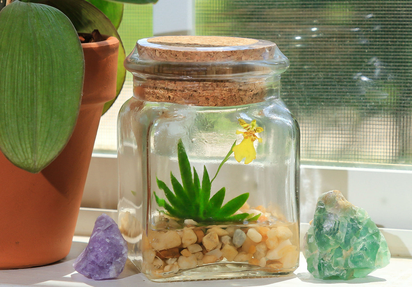 Orchid Terrarium - Miniature