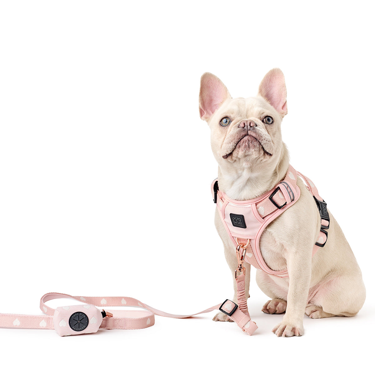 City Leash Set - Sweetheart (NoMad)