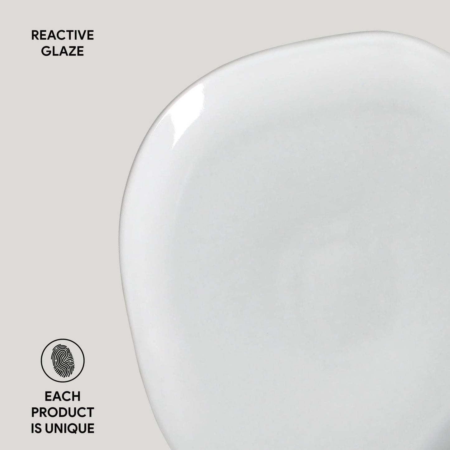 Oval Dinner Plate Set of 6