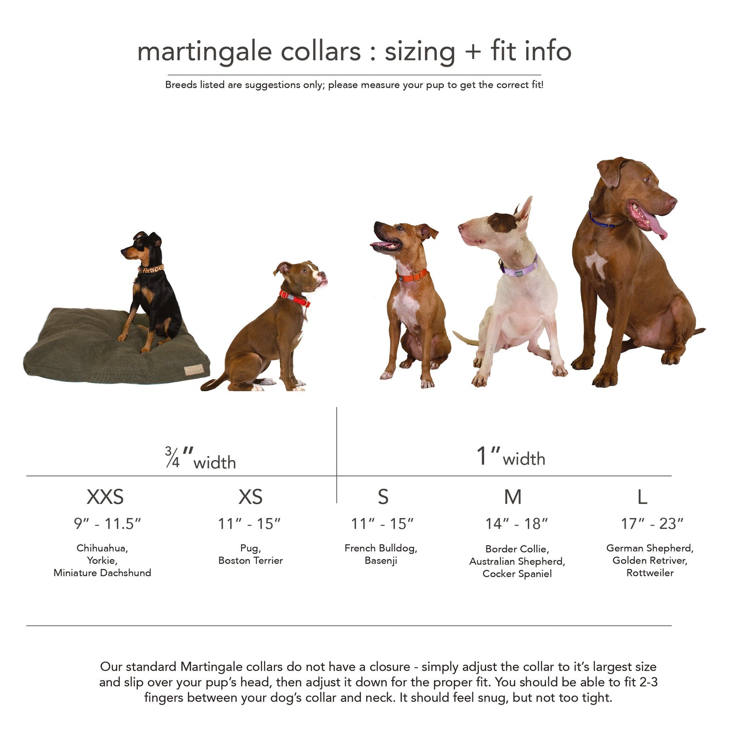 Martingale Dog Collar – Leopard / Peach