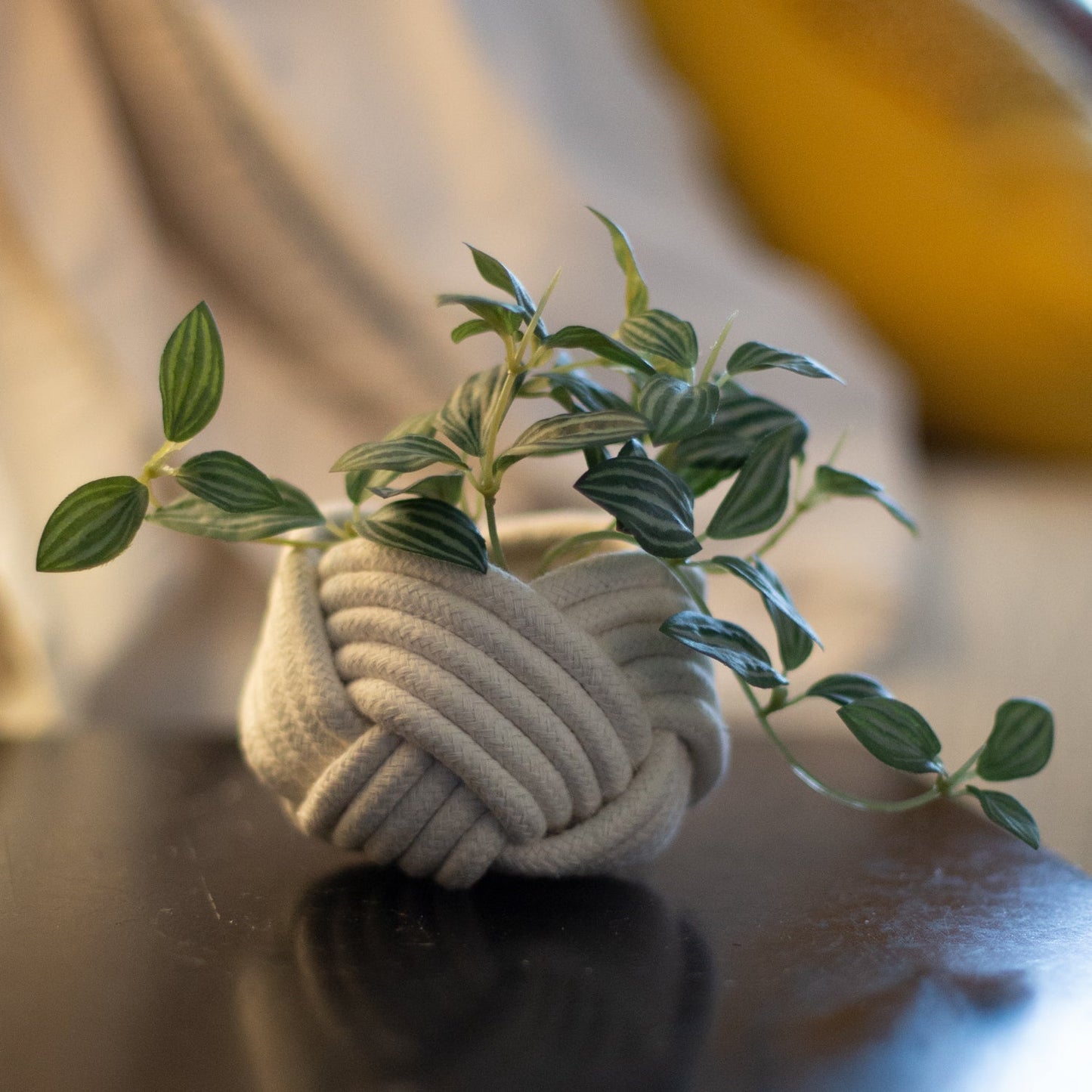 Mini Unbound Planter White